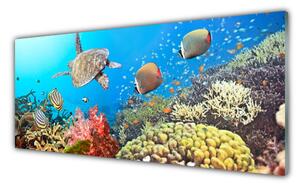 Nástenný panel  Koralový útes krajina 125x50 cm