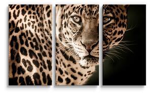 Sablio Obraz - 3-dílný Leopard - 120x80 cm