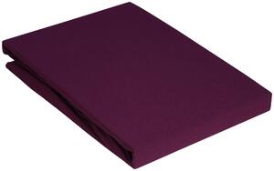 POSTEĽNÁ PLACHTA, 90/200 cm Novel - Obliečky & plachty