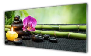 Sklenený obklad Do kuchyne Bambus kvet kamene zen 125x50 cm