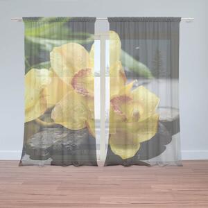 Sablio Záclony Žltá Orchidey: 2ks 150x250cm