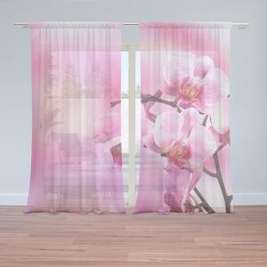 Sablio Záclony Květy Orchidey: 2ks 150x250cm