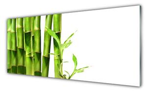 Nástenný panel  Bambus rastlina 125x50 cm