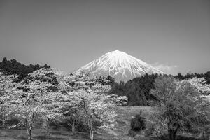 Fototapeta hora Fuji v čiernobielom - 150x100
