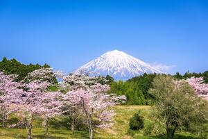 Fototapeta sopka Fuji