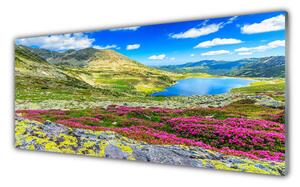 Nástenný panel  Hora záliv lúka príroda 125x50 cm