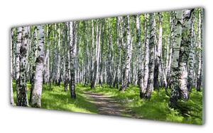 Nástenný panel  Les chodník príroda 125x50 cm