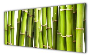Sklenený obklad Do kuchyne Bambus rastlina príroda 125x50 cm