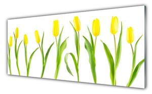 Sklenený obklad Do kuchyne Žlté tulipány kvety 125x50 cm