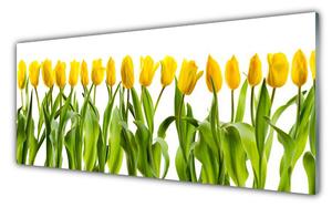 Sklenený obklad Do kuchyne Tulipány kvety príroda 125x50 cm