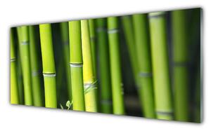 Nástenný panel  Bambus príroda rastlina 125x50 cm