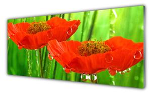 Nástenný panel  Maky rastlina príroda 125x50 cm