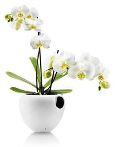 Samozavlažovací obal na kvetináč Orchid Pot White