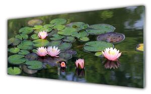Sklenený obklad Do kuchyne Vodné lilie rybník príroda 125x50 cm