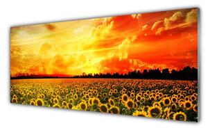 Sklenený obklad Do kuchyne Lúka slnečnica kvety 125x50 cm