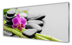 Sklenený obklad Do kuchyne Bambus kvet kamene umenie 125x50 cm