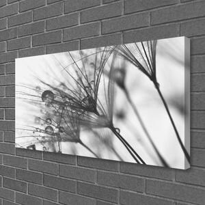 Obraz na plátne Abstrakcie rastlina 100x50 cm