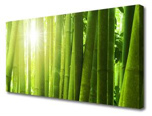 Obraz na plátne Bambus rastlina 100x50 cm