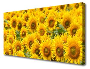 Obraz na plátne Slunecznice rastlina 100x50 cm