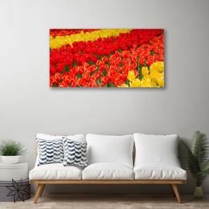 Obraz na plátne Tulipány kvety 100x50 cm