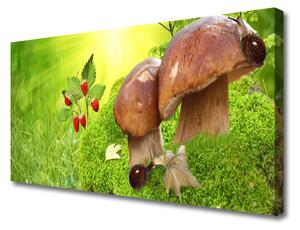 Obraz na plátne Huby divoké jahody 100x50 cm