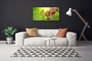 Obraz na plátne Huby divoké jahody 100x50 cm