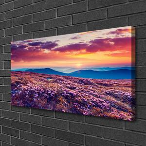Obraz na plátne Lúka hory kvety príroda 100x50 cm