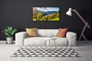 Obraz na plátne Sklenená alpy príroda 100x50 cm