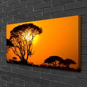 Obraz na plátne Strom slnko príroda 100x50 cm