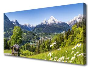 Obraz na plátne Hora pole príroda 125x50 cm