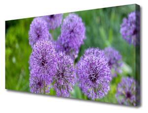 Obraz Canvas Fialové kvety lúka 125x50cm
