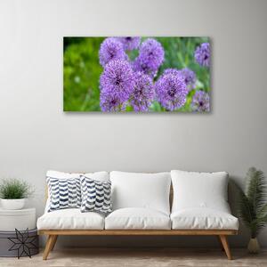 Obraz Canvas Fialové kvety lúka 100x50 cm