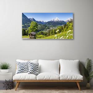 Obraz na plátne Hora pole príroda 100x50 cm