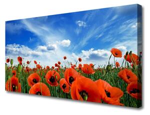 Obraz Canvas Lúka maky kvety 125x50 cm