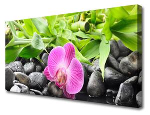 Obraz Canvas Kvety orchidea kamene zen 125x50 cm