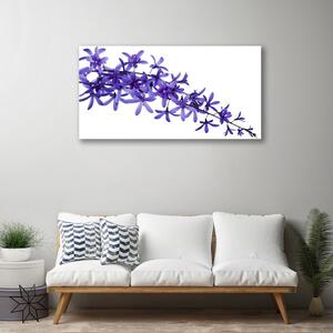 Obraz Canvas Kvety rastliny príroda 100x50 cm