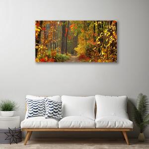 Obraz Canvas Les príroda jeseň 100x50 cm