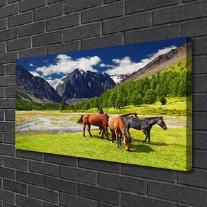 Obraz Canvas Hory stromy kone zvieratá 100x50 cm