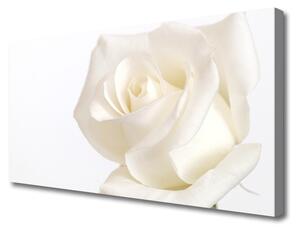Obraz Canvas Ruže kvety 125x50cm