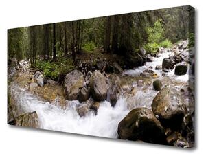 Obraz Canvas Les rieka vodopády 100x50 cm