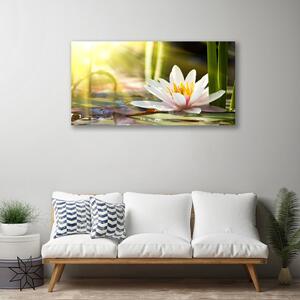 Obraz Canvas Kvet vodné lilie 100x50 cm