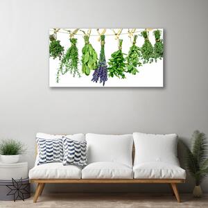 Obraz Canvas Plátky kvety byliny 100x50 cm