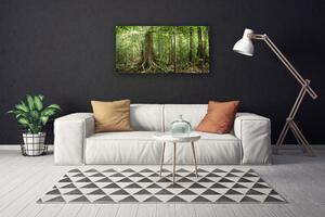 Obraz Canvas Les príroda džungle 100x50 cm