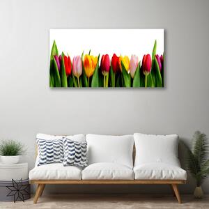 Obraz na plátne Tulipány rastlina 100x50 cm