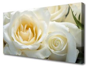 Obraz na plátne Ruže kvety 125x50cm