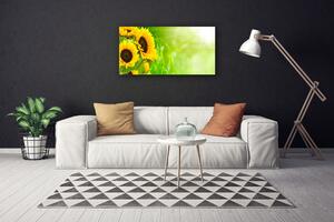 Obraz na plátne Slnečnicami rastlina 100x50 cm