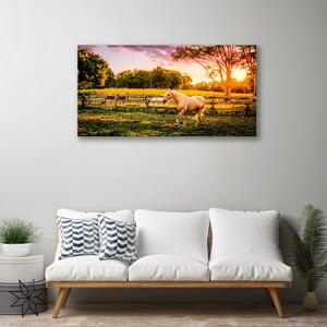 Obraz na plátne Kôň lúka zvieratá 100x50 cm