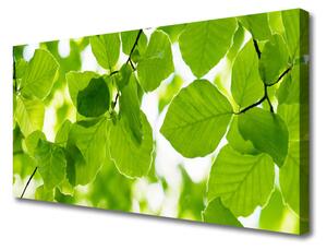 Obraz na plátne Listy príroda rastlina 100x50 cm