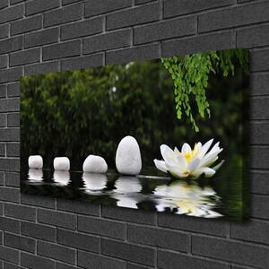 Obraz na plátne Kamene kvet umenie 100x50 cm