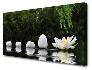 Obraz na plátne Kamene kvet umenie 100x50 cm